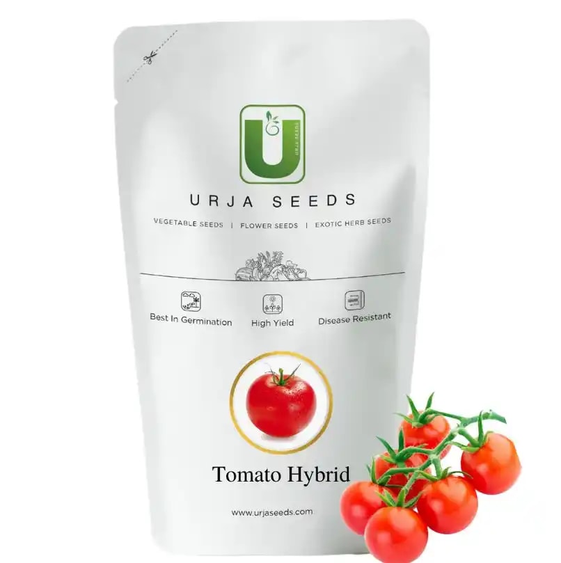 Urja Arjun 14115 Tomato Seeds - (Tamatar Seeds) Square Round Red Fruit, Indeterminate Variety