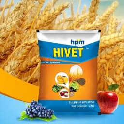 Hpm Hivet Sulphur 80% WDG Multipurpose Fungicide, As Micronutrient, Miticide, and Fungicide. 3