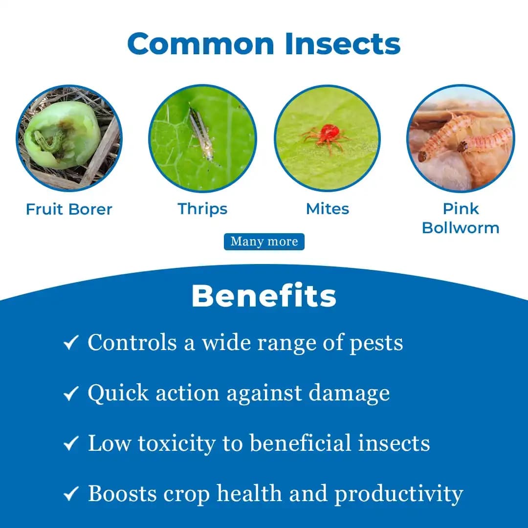 Rain Missile Insecticide - Image 3