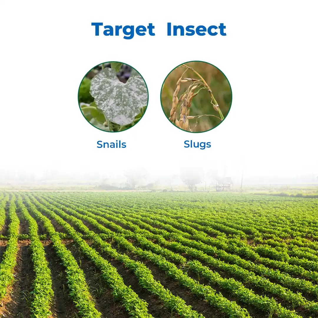PI Industries Snailkill Metaldehyde 2.5% Pellet, Insecticide, For Crops Like Potato, Sweet Potato, Carrot, Citrus Plants, Grapevine, Tea Plantations - Image 3