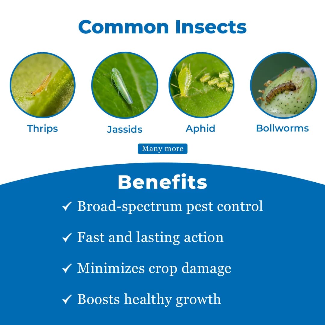 Tata Rallis Koranda Insecticide - Image 3