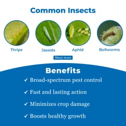 टाटा रेलिस कोरंडा क्लोरपाइरीफोस 50% + साइपरमेथ्रिन 5% ईसी, चयनात्मक और संपर्क कीट नाशक 3