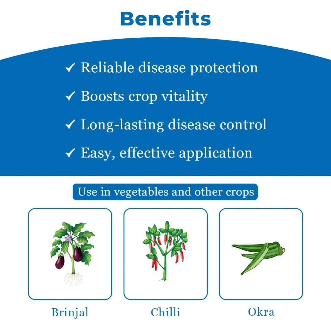 Sumitomo Sumiprempt Pyriproxyfen 5% + Fenpropathrin 15% EC For Controlling Whitefly . - Image 4
