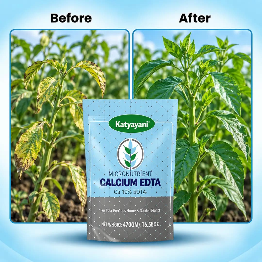 Katyayani Calcium 10% EDTA Fertilizer, Advanced Nutrient Solution for Optimal Plant Health - Image 3