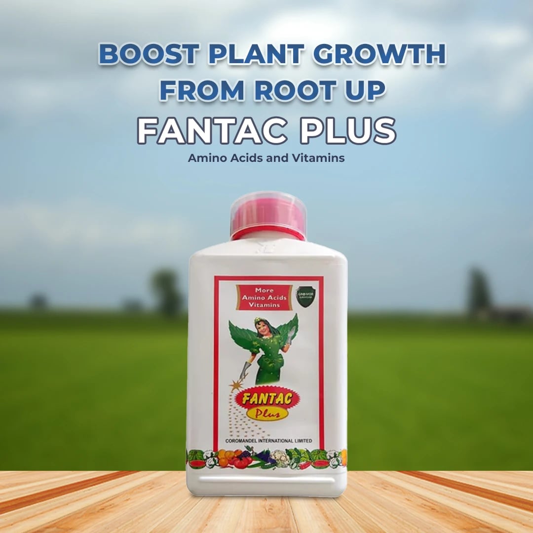 Coromandel Fantac Plus Plant Growth Regulator - Amino Acids & Vitamins