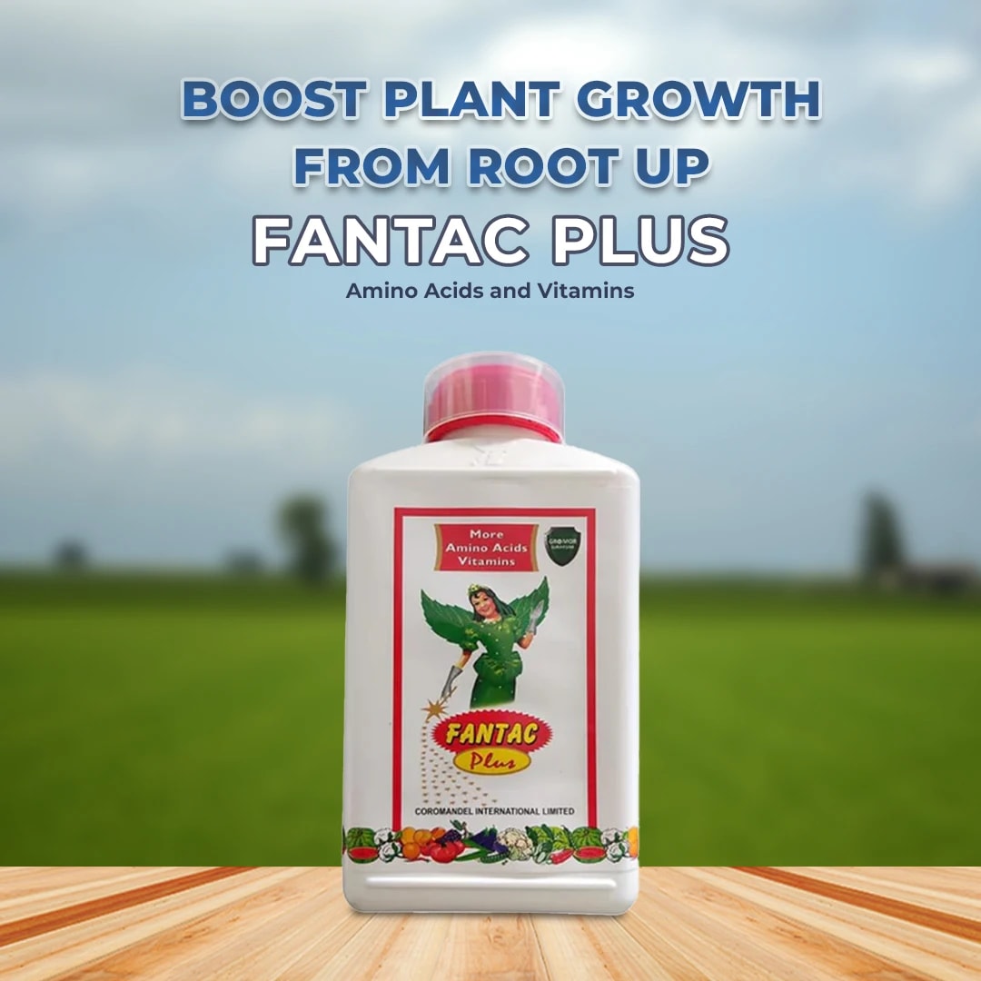 Coromandel Fantac Plus Plant Growth Regulator - Amino Acids & Vitamins