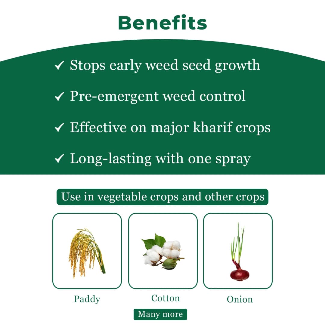 Dhanuka Dhanutop Pendimethalin 30% EC Herbicide, Selective Pre-Emergence For Effective Weed Control - Image 4
