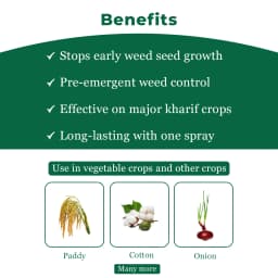 Dhanuka Dhanutop Pendimethalin 30% EC Herbicide, Selective Pre-Emergence For Effective Weed Control 4
