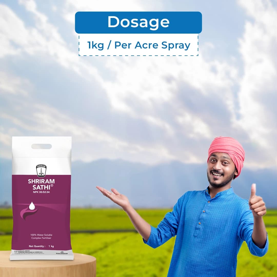 Shriram Sathi NPK 00:52:34 Fertilizer, Suitable For Pre-Bloom As Well As Post-Bloom Applications - Image 5