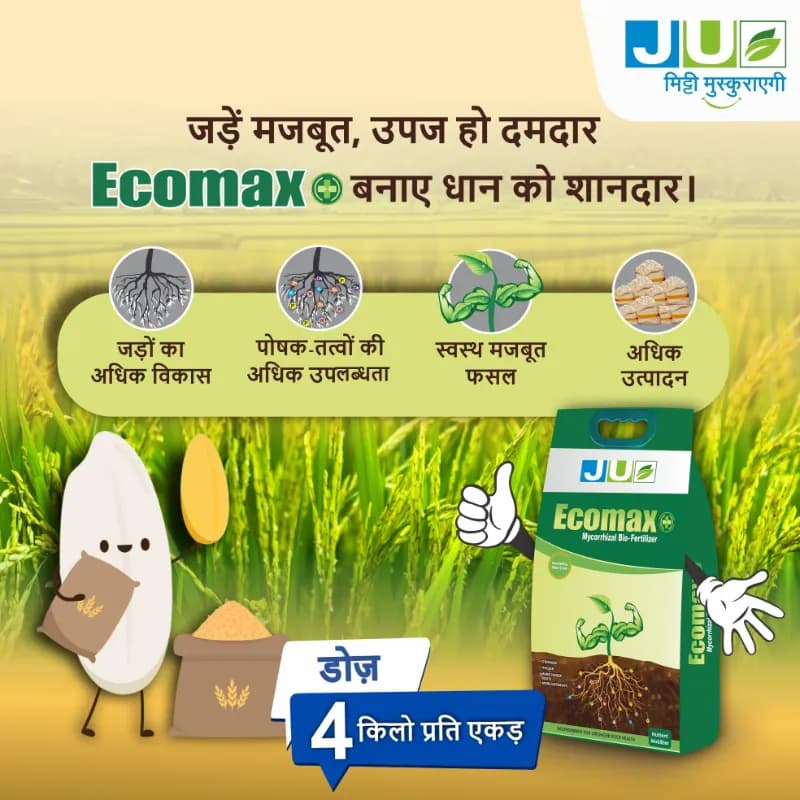 JU Ecomax+ Vesicular Arbuscular Mycorrhiza Biofertilizer, Effective For Root And Soil Health In Crops - Image 2