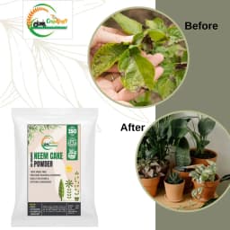 CropKraft Neem Cake Powder, Natural Organic Fertilizer, Pest Repellent, and Soil Conditioner 6