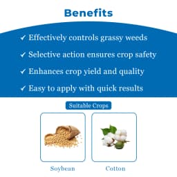 एग्रीवेंचर क्विज़ालो सिल्वर - क्विजालोफॉप एथिल 5% ईसी खरतपरवारनाशक, चौड़ी पत्तियों वाली फसलों में संकीर्ण पत्तियों वाले जंगली घास को नियंत्रित करने के 4