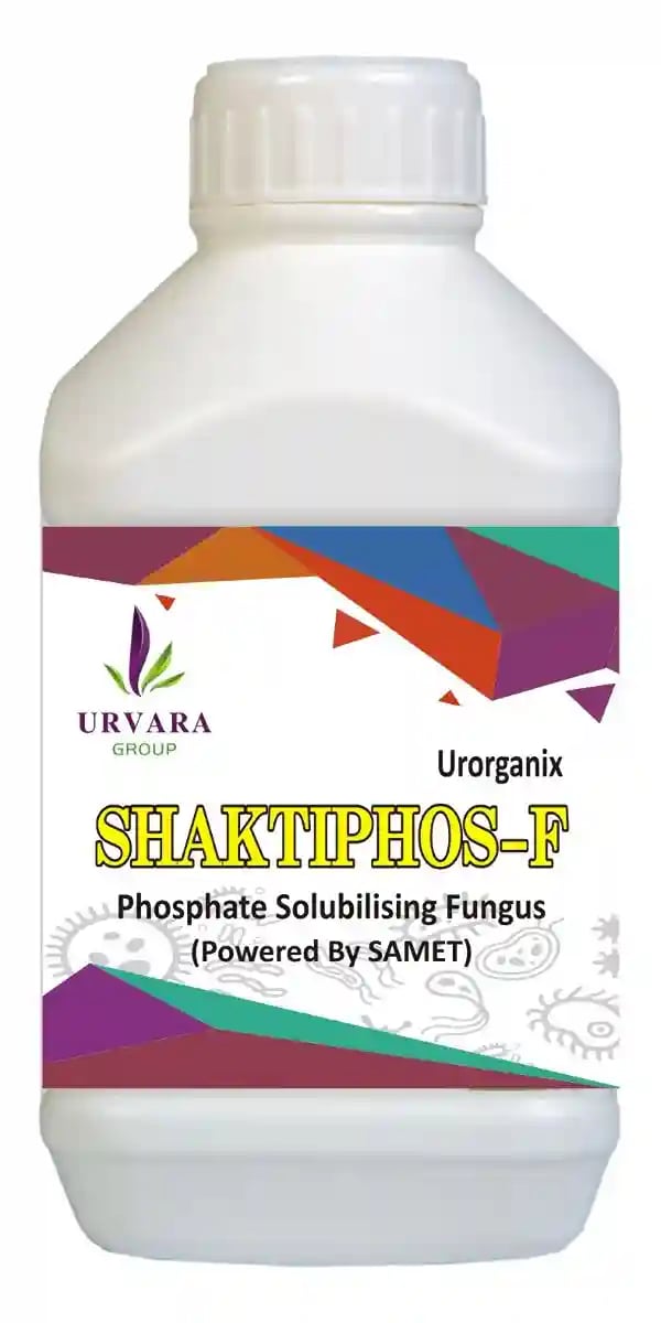 Shaktiphos F Phosphate Solubilizing Fungi For Phosphate Solubilization And Making Available Phosphorus In Soil