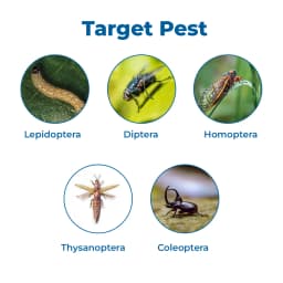 BACF Optus - Emamectin Benzoate 1.9% EC, Systemic And Contact Action Result Oriented Effective insecticides 3
