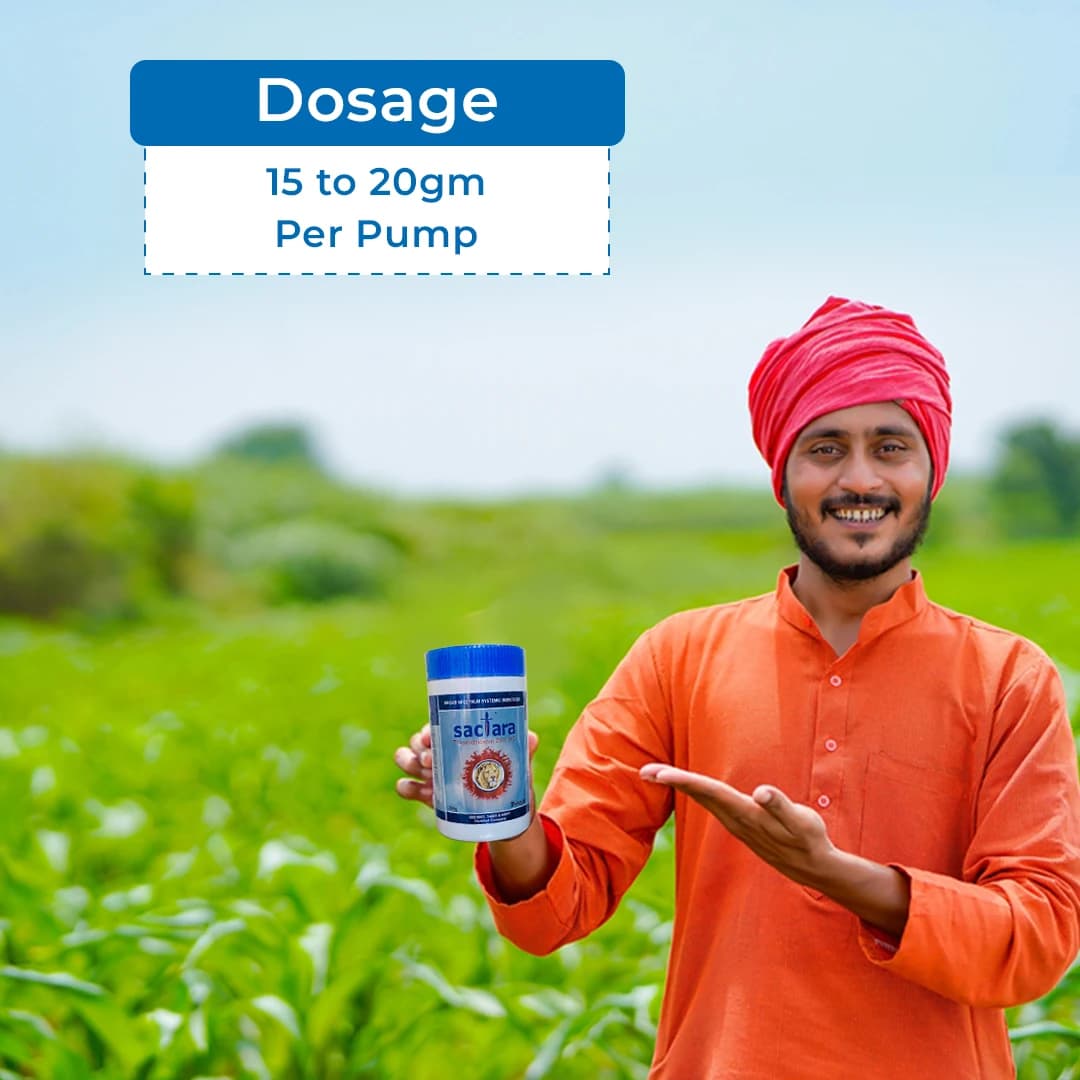 Shivalik Sactara - Thiamethoxam 25% WG Insecticide, Best Use Against Brown Plant Hopper, Green Leaf hopper etc - Image 5