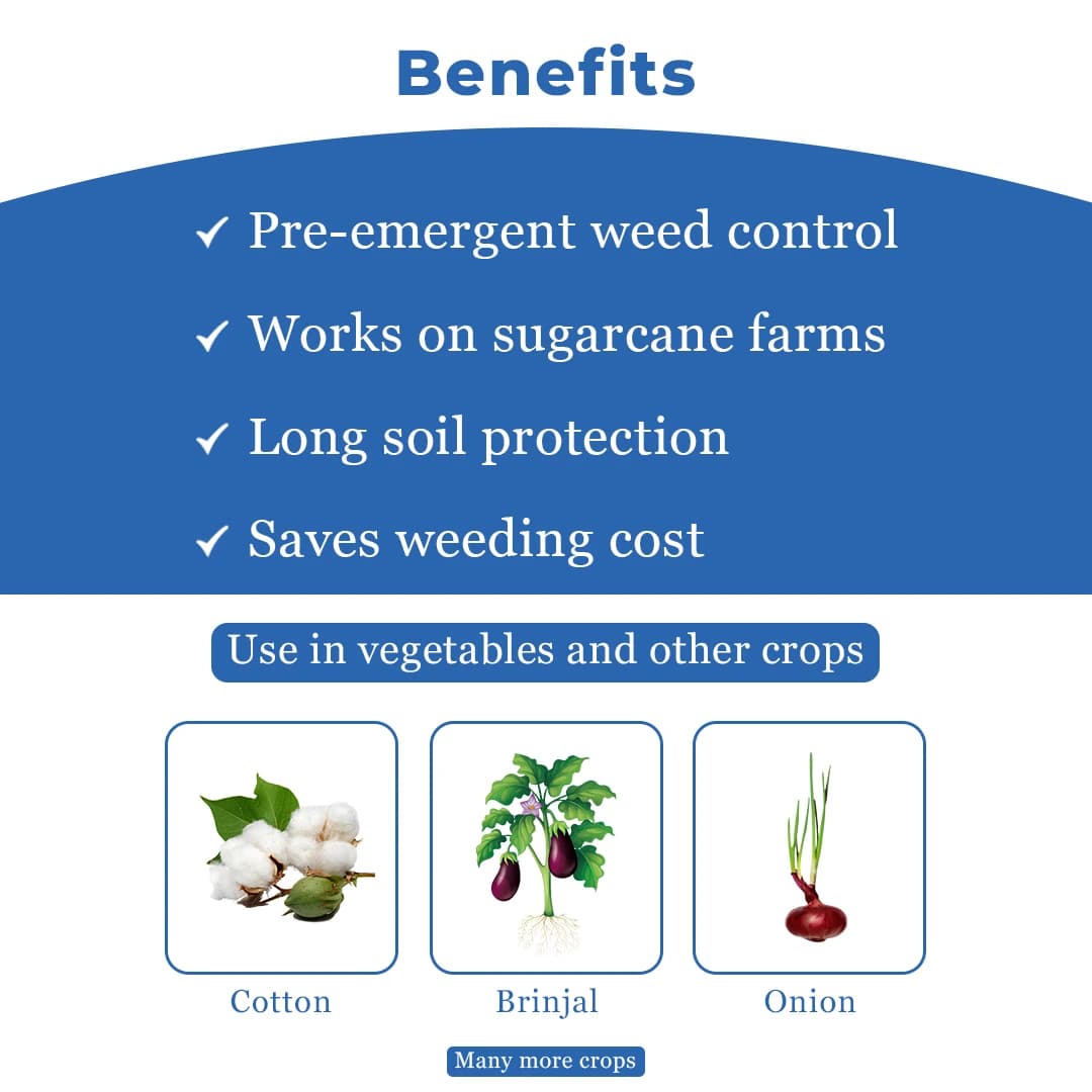 एडामा फ्लेमबर्जे, अमिनो ऐसिड्स और पेप्टाइड्स पर आधारित एक प्राकृतिक बायो-स्टिमुलेंट - Image 4