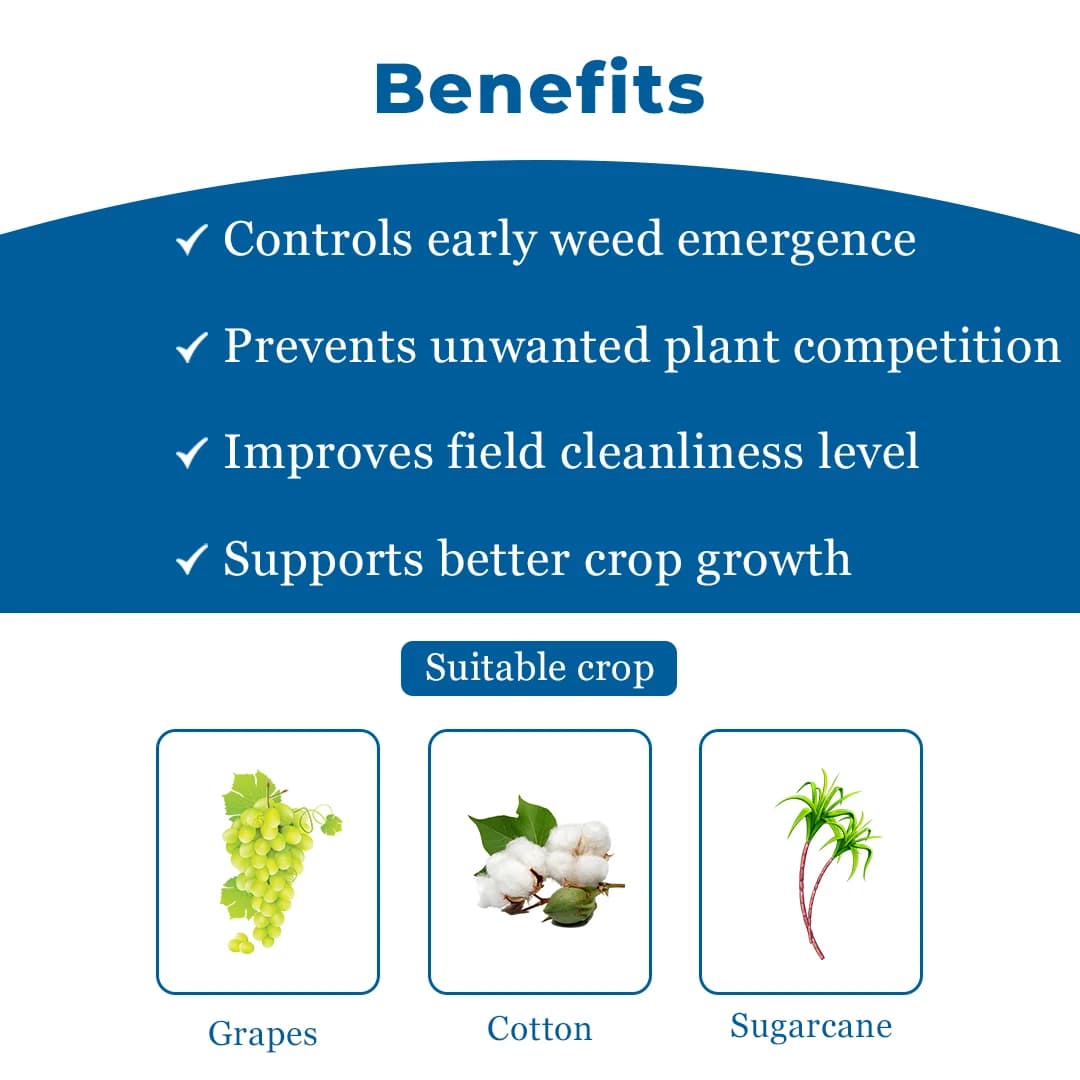 Exylon Orion Herbicide - Oxyfluorfen 23.5% EC - Image 4