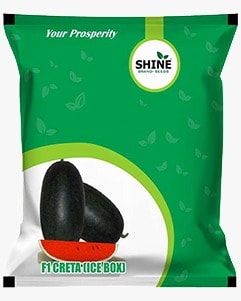 Water Melon Creta Ice Box F1 Hybrid - Shine Brand Seeds, Tarbooj Beej, Excellent Quality