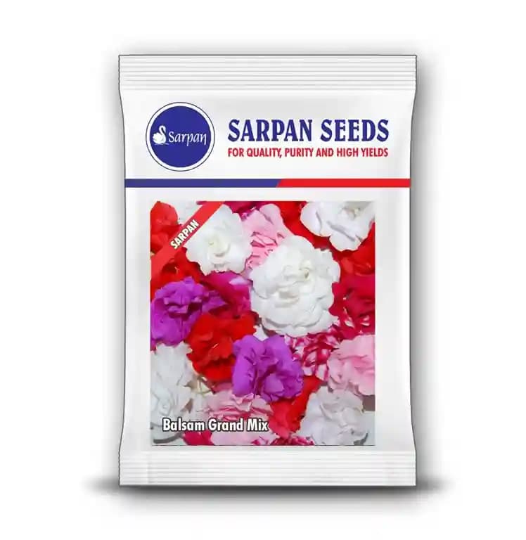 Sarpan Balsam Grand Mix - Perfect For Garden, Mix Of All Colors, Double Size Flowers - Image 1