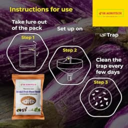 SK Agrotech Leucinodes Orbonalis (Brinjal Fruit and Shoot Borer) Pheromone Trap With Lure - Effective Pest Management Solution 12