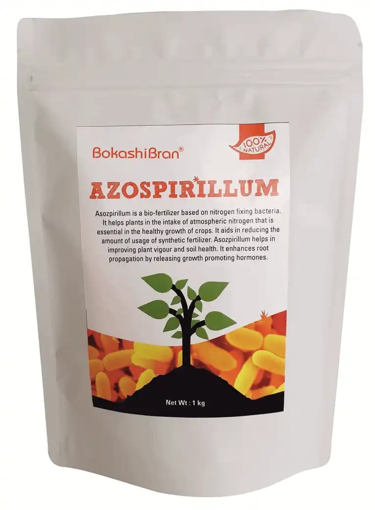 Azospirillum Bio Fertilizer, Nitrogen Fixing Bacteria, Helps In Improving Plant Vigour and soil health - Image 1