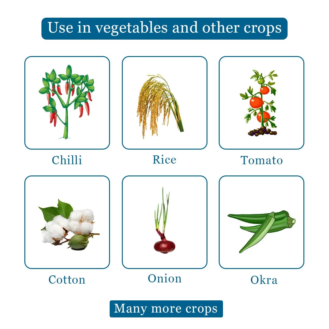 Decis 100 EC Insecticide - Image 4