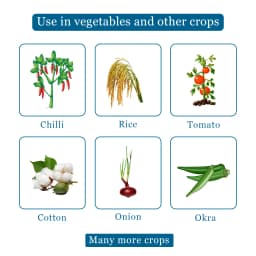 बायर डेसीस 100- डेल्टामेथ्रिन 100 ईसी(11% ईसी). लेपिडोप्टेरा, होमोप्टेरा, माहूँ, साइला, कोकिडिया, सिकाडेलिनिया, हेटेरोप्टेरा,थाइसानोप्टेरा से बचाता है 4