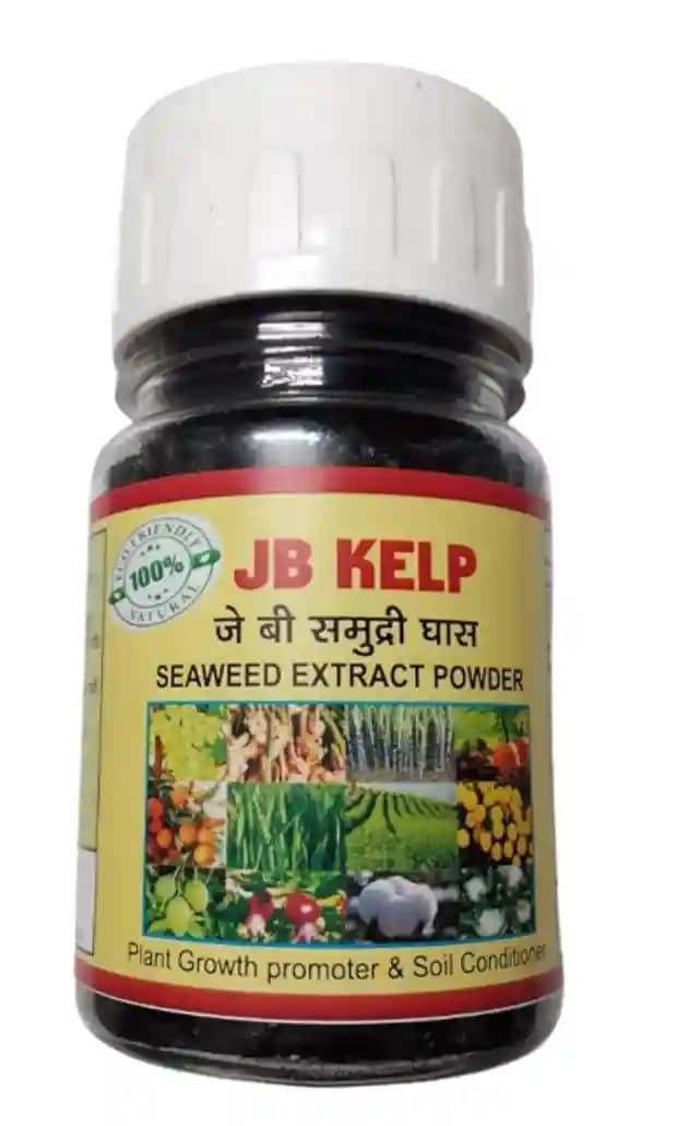 JB KELP (Seaweed Extract Powder) Combination of Fresh Ascophyllum Nodosum Marine Plants - Image 1
