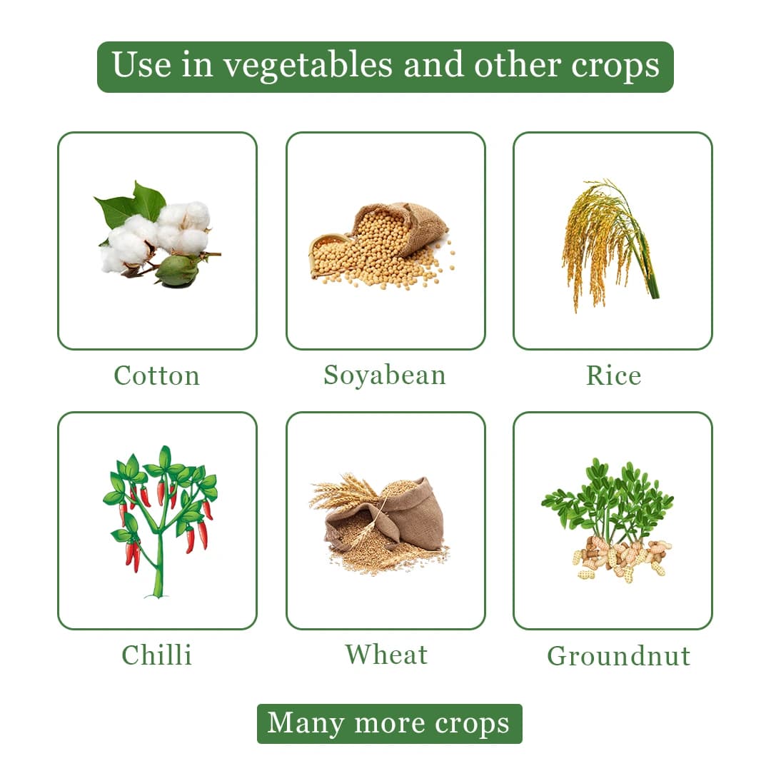 TATA Rallis Panida Pendimethalin 30% EC, Prevents Plant Cell-Division & Elongation, Inhibits Root And Shoot Growth. - Image 4