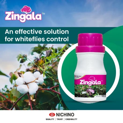 Nichino Zingala Pyrifluquinazon 20% WG Insecticide, Effective Control Whitefly In Cotton Crop - Image 4
