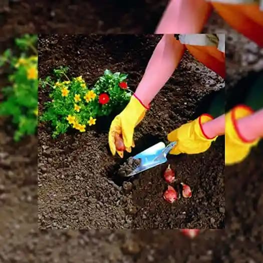 Wolf Garten Planting Trowel (LU-P) 38 Cm, Use For Planting and Transplanting For Home Garden and Farm - Image 4