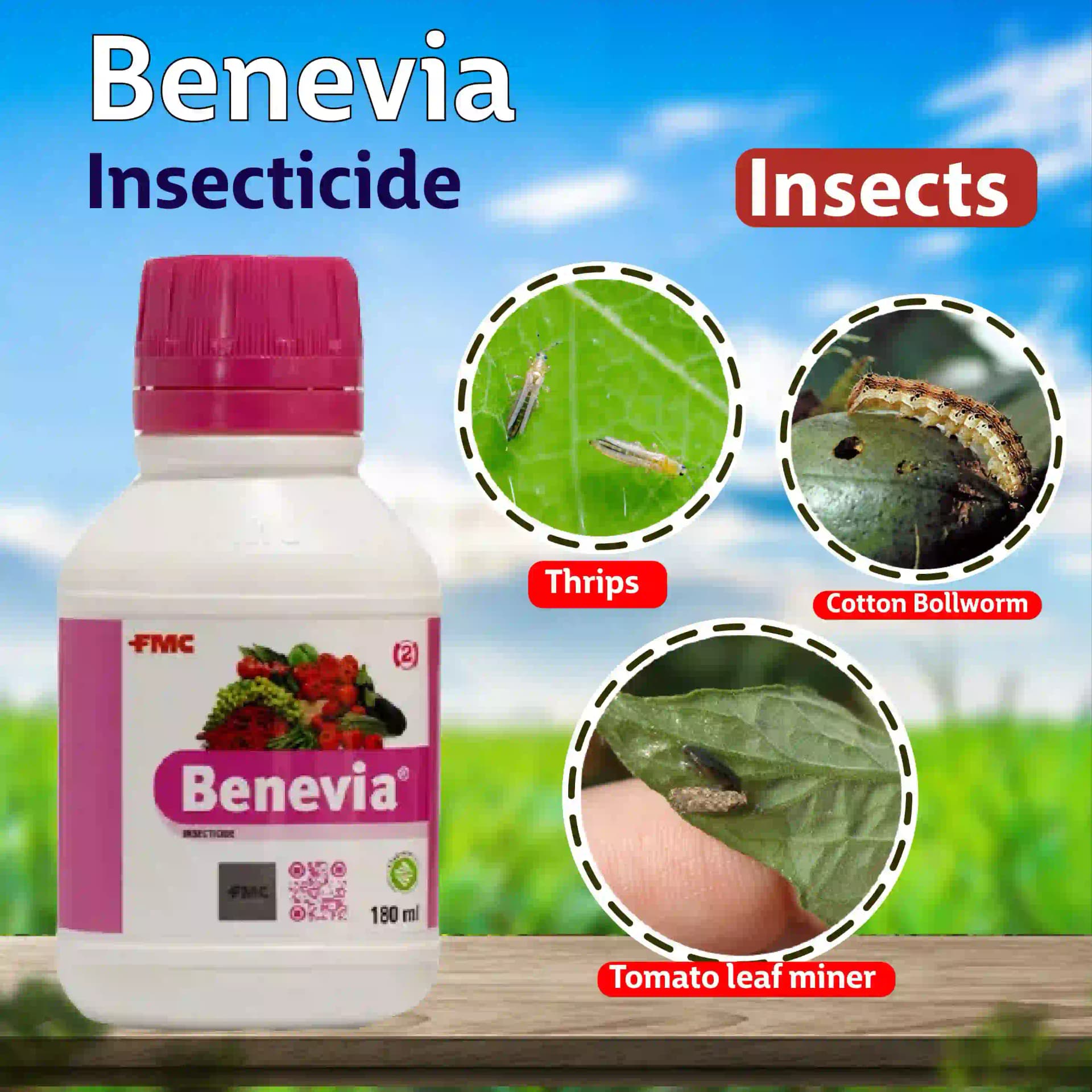 FMC Benevia Insecticide - Image 7