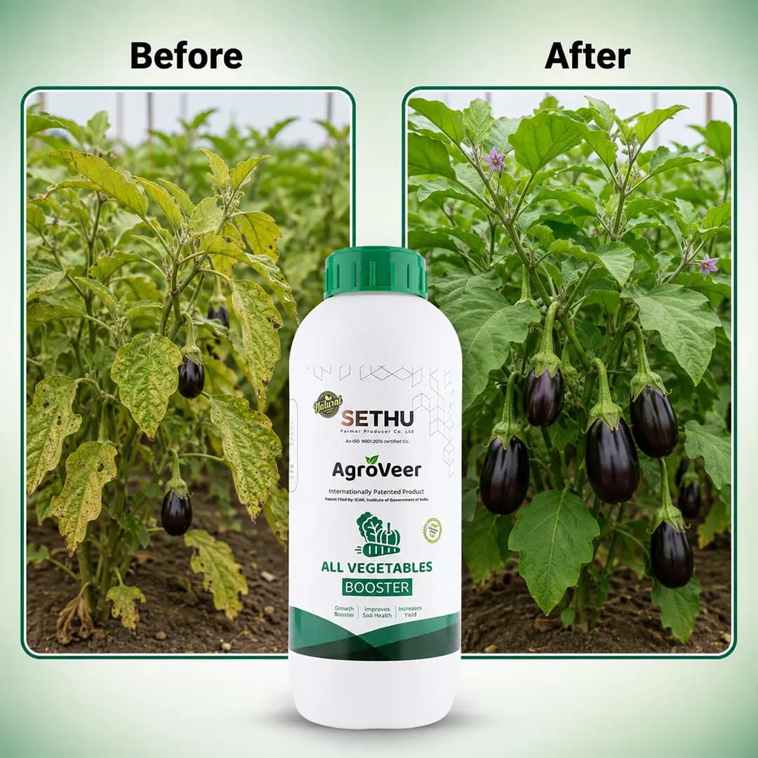 All Vegetable Booster, Liquid Plant Growth Promoter, Contains Gibberellic Acid, Amino Acids, Cytokinins. - Image 3