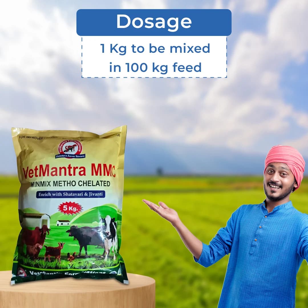 VetMantra MMC - Mineral Mixture For Higher Growth And Milk Production - Image 5