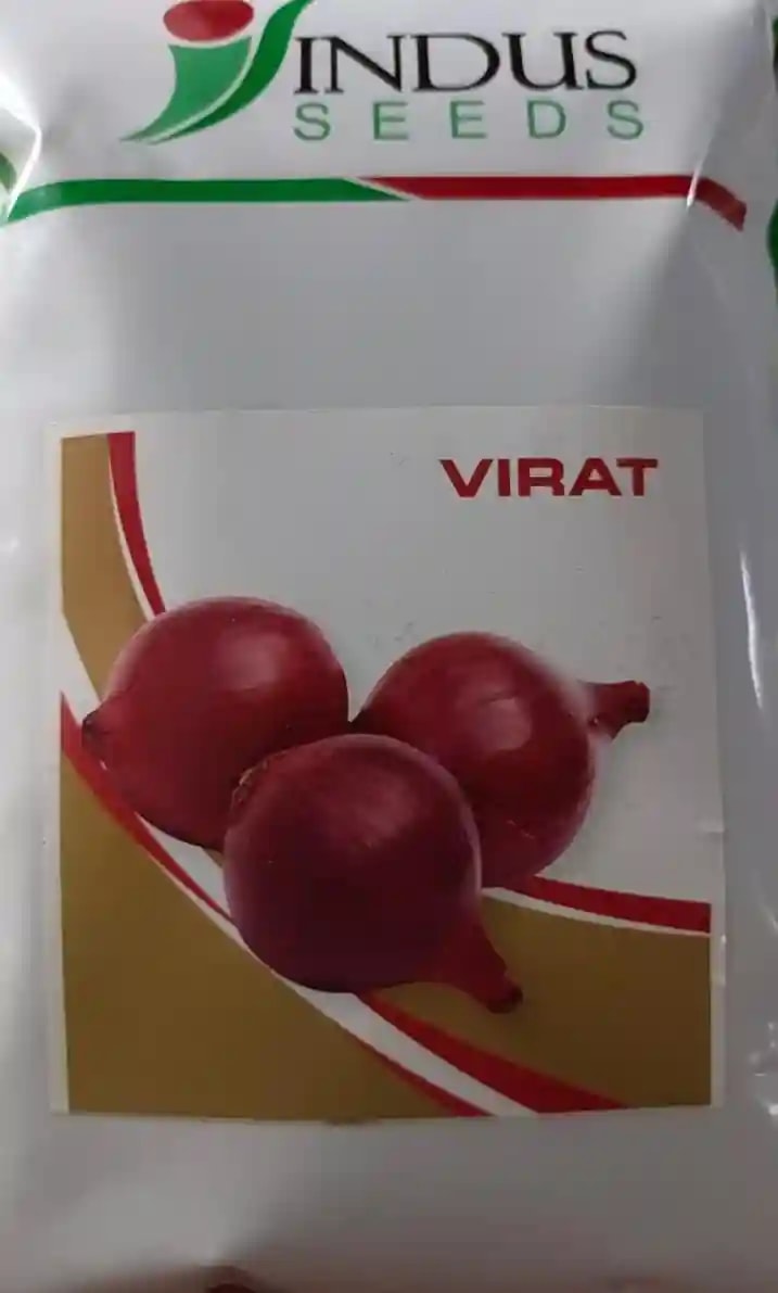 Indus Seeds Virat Onion Seeds , Suitable for Rainy, Winter Cultivation, Bulb Weight 100-200 Gram,High yield, Uniform Bulbs.