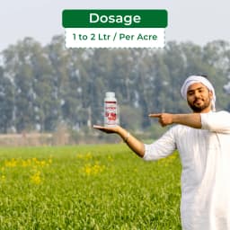 Aries Ari Potash Mixed Macronutrient Fertilizer, An Essential Nutrient for Plant Growth 5