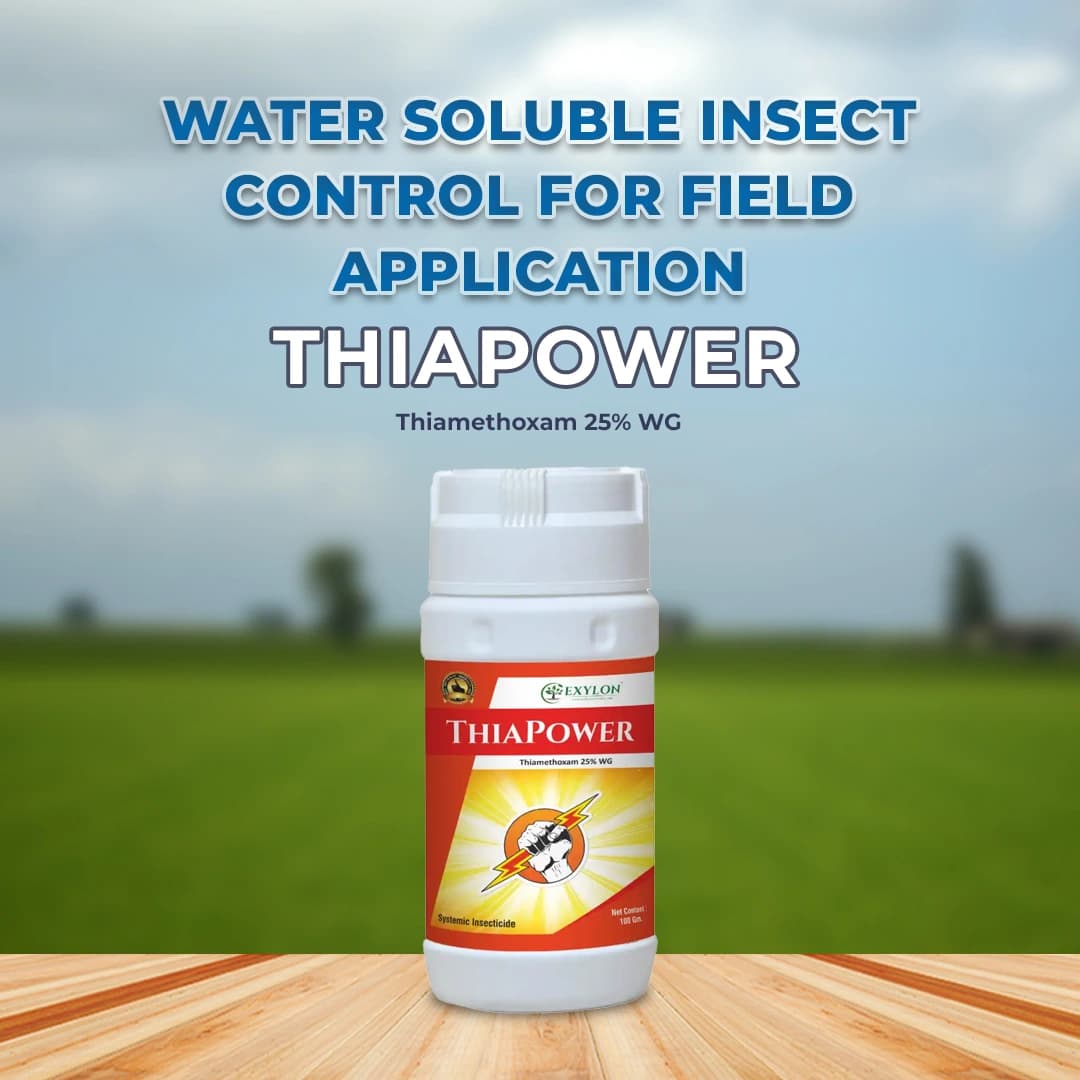 Exylon Thiapower Thiamethoxam 25% WG Insecticide, Effective Sucking Pest Control In Crops - Image 2