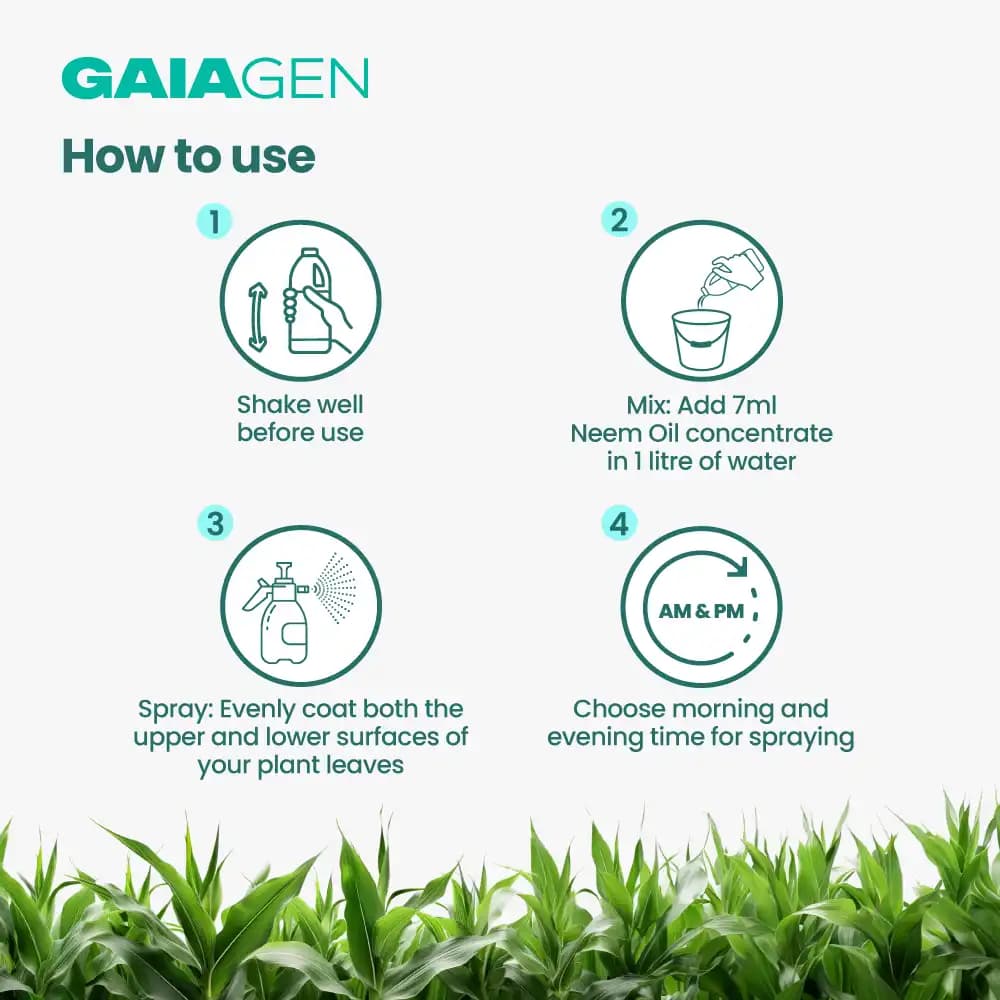 Gaiagen NEEM BAAN Azadirachtin 0.15%, 1500 PPM, Dual Protection Against Pests & Diseases - Image 6