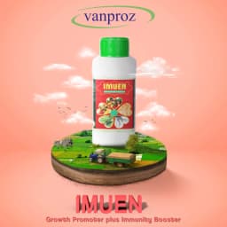 Viricide Combo Offer (V Bind 500 ml + Imuen 500 ml) For Controlling Papaya and Chilli Viral Disease, Leaf Curl, Mosaic Virus 4