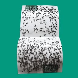 ग्रीन रिवोल्यूशन हाउस फ्लाई ट्रैप (10 का पैक) ग्लू ट्रैप, घरेलू मक्खी, पोल्ट्री मक्खियों के लिए कीट ट्रैप, चिपचिपा कागज। 5