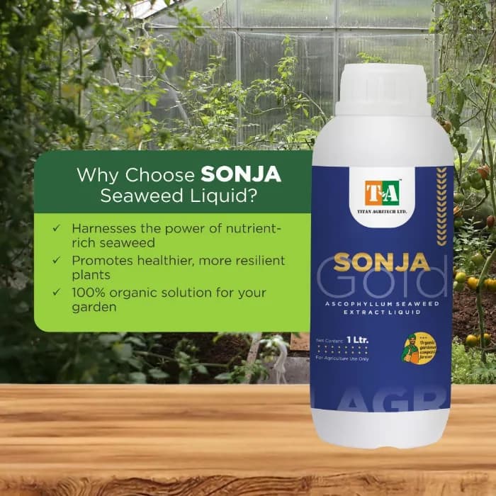 Titan Agritech Sonja Gold Seaweed Extract Liquid 30% Biostimulant, Boosts Root System And Nutrient Mobility - Image 2