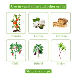 Neemz - Natural and Water-Soluble Neem Oil to Reduce Insect Growth, Effective Against Thrips, Whiteflies, Aphids, Leaf Miners, and Bugs 4