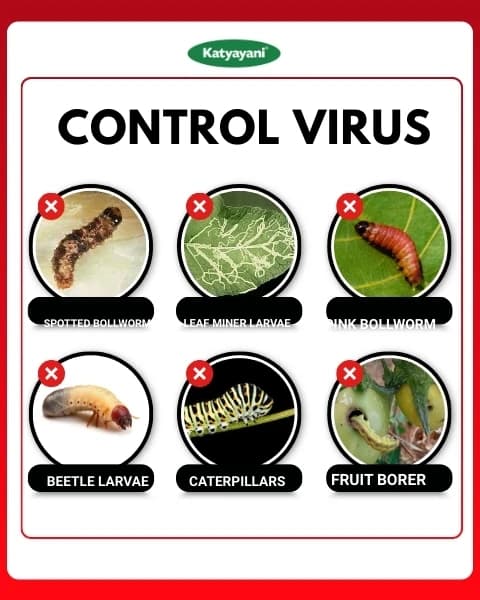 Katyayani Finish It Insecticide, Control For Cabbage Butterfly, Armyworm, Natural Larvicide For Crops (All In One Larvicide) - Image 3