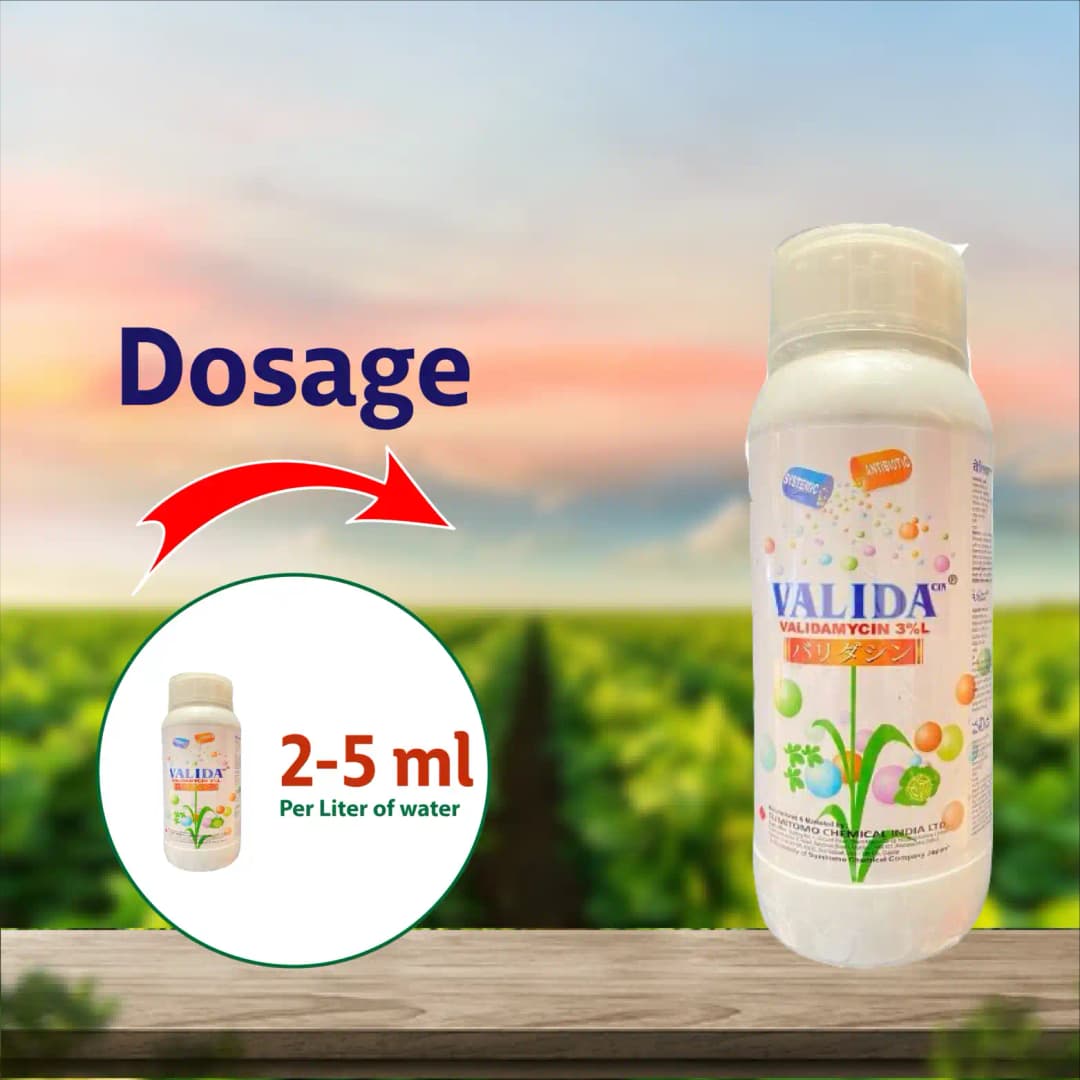 Sumitomo Valida Validamycin 3% L Fungicide, Enhanced Plant Health and Disease Management - Image 3