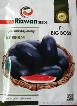 Rizwan Seeds F1 Hybrid Big Boss Water Melon Seeds, Easy To Grow And Good Fruit Setting - Image 1