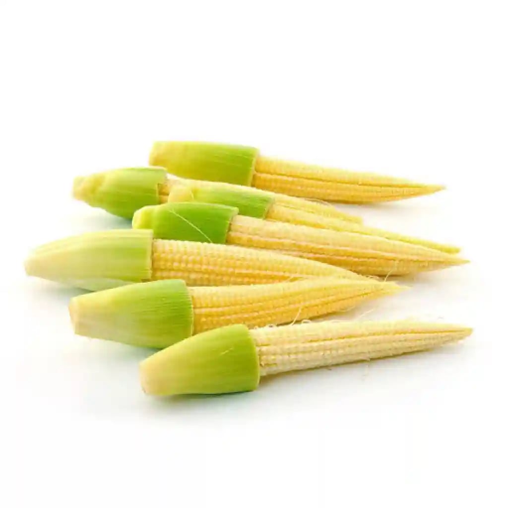 Urja Baby Corn Orion Imported, Mini Corn, Popular Variety with Excellent Marketability