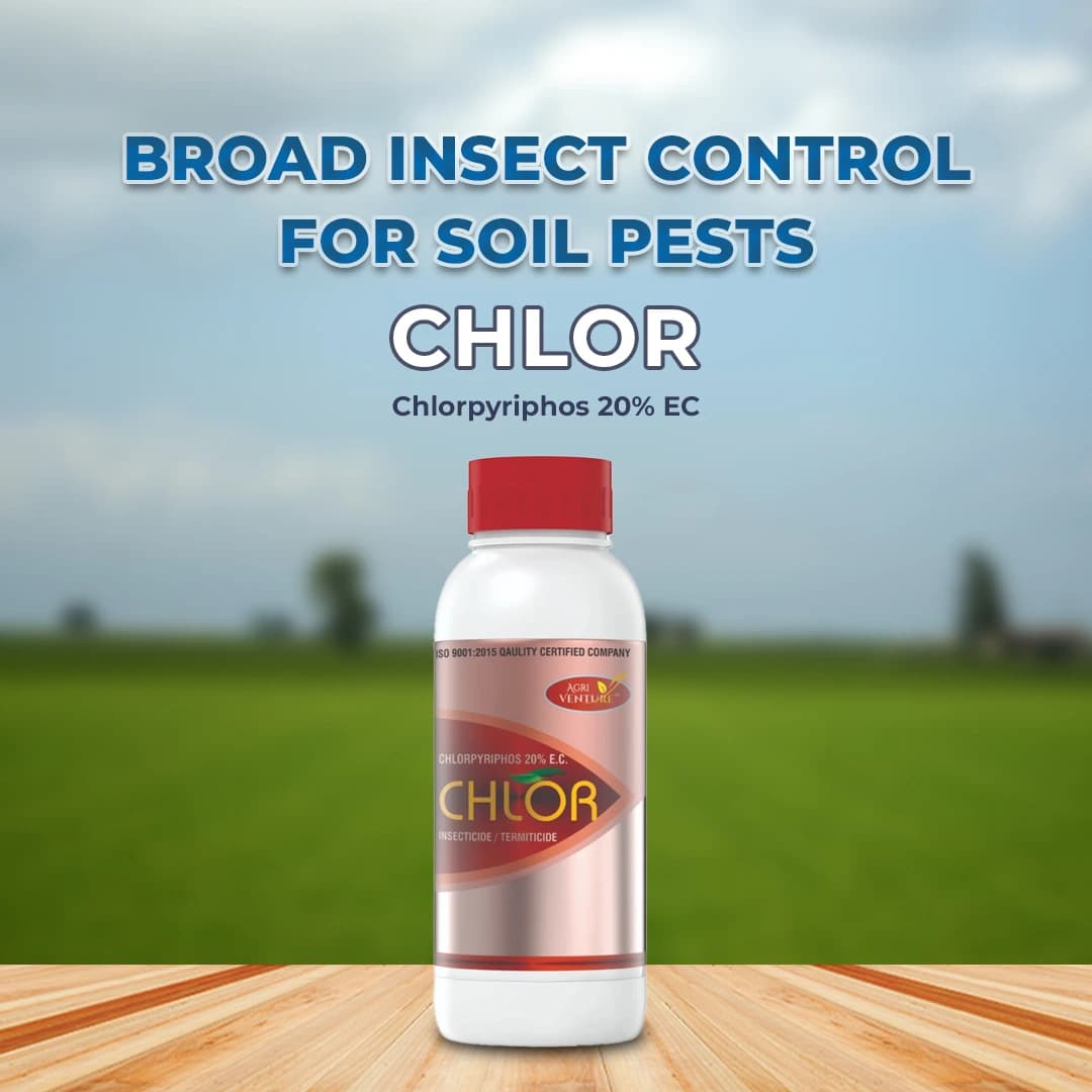 Agriventure Chlor (Chlorpyriphos 20% Ec) Insecticides, Effective Termiticide. - Image 2