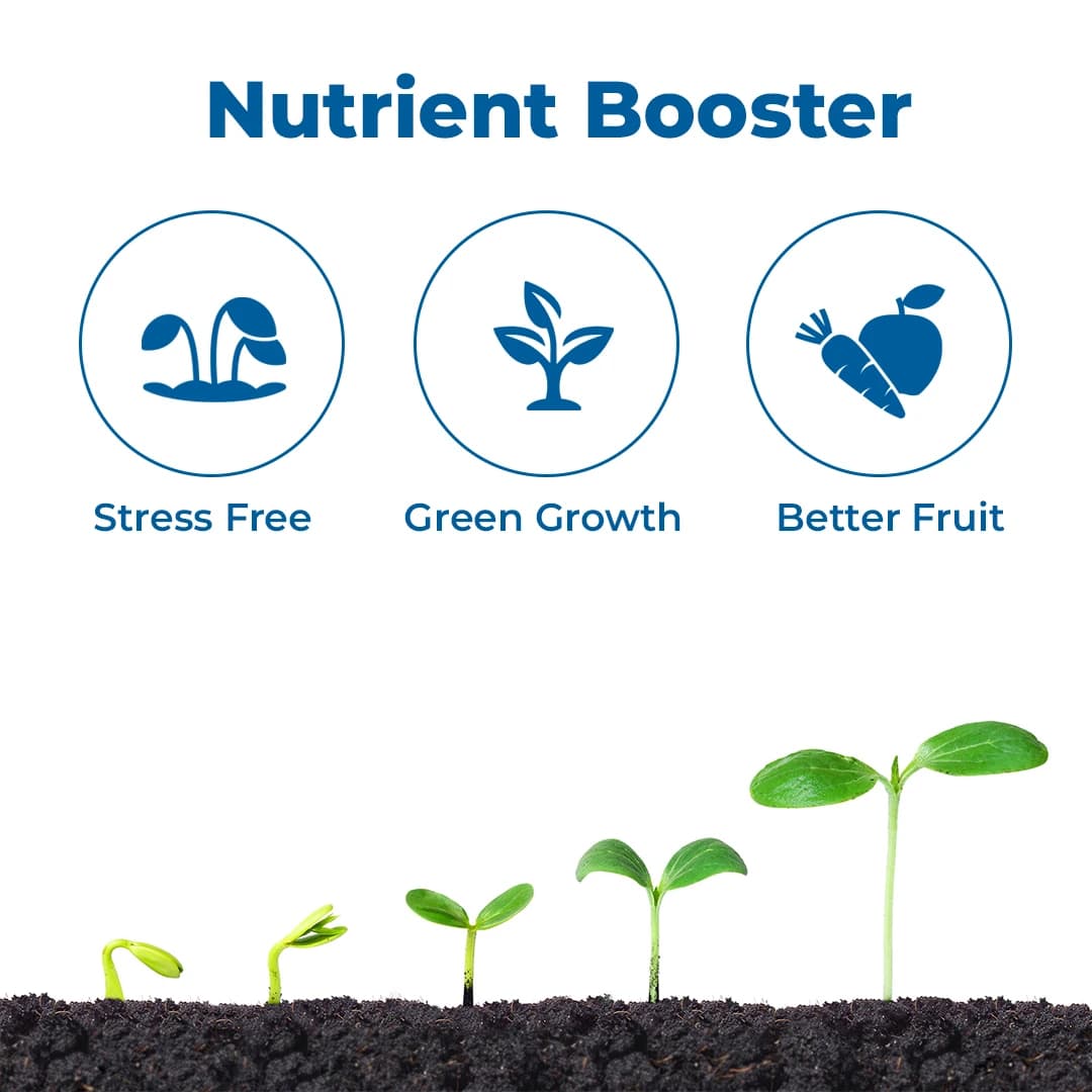 EBS Seaweed Extract Fertilizer Ascophyllum Nodusum, Organic Growth Enhancer For Improved Soil Fertility And Plant Health - Image 4