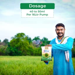 BACF Averse Pseudomonas fluorescens 1%WP Bio Pesticide , Selective Bio-Agent And Effectively Controls Soil-Borne 5