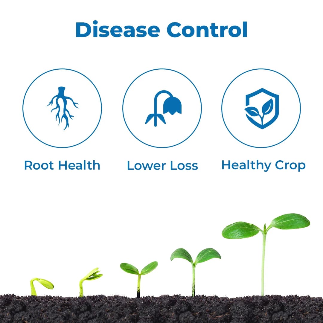 HEDO Tricho Trichoderma Viride 1.5% WP Bio Pesticide, Control A Wide Range of Soil And Seed Borne Fungal Diseases - Image 3